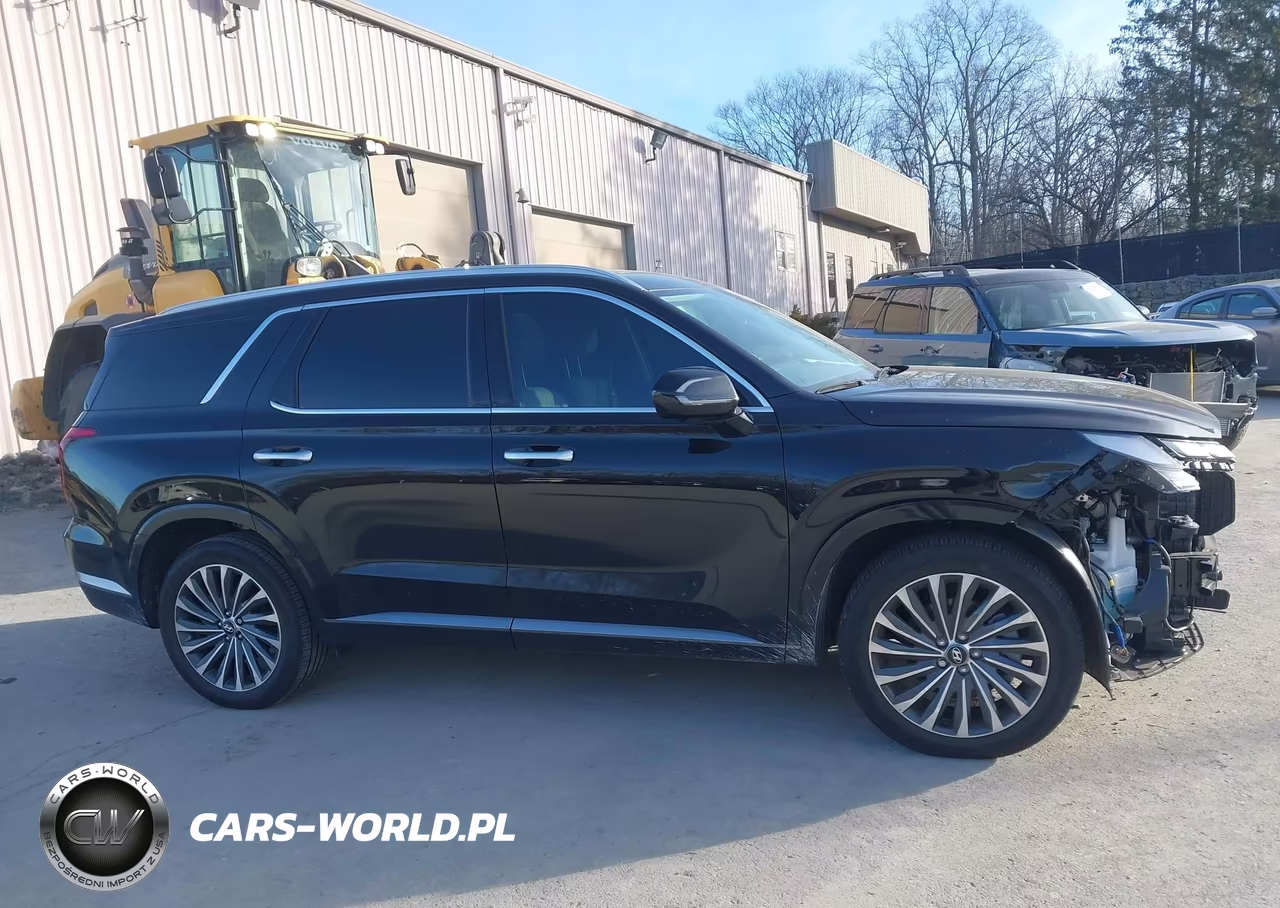 2025 Hyundai Palisade Calligraphy VIN:KM8R7DGE6SU914496 - 14