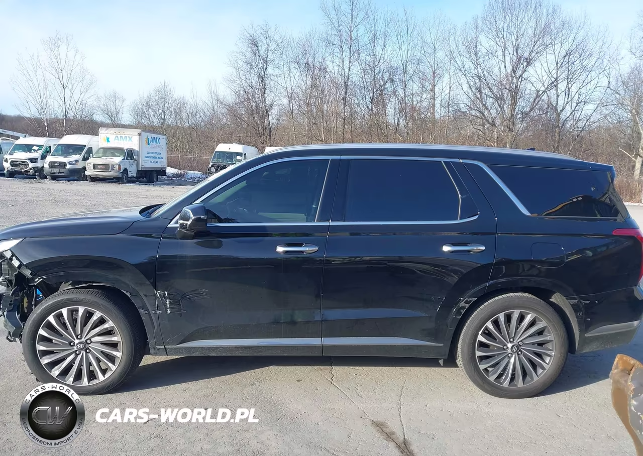 2025 Hyundai Palisade Calligraphy VIN:KM8R7DGE6SU914496 - 15