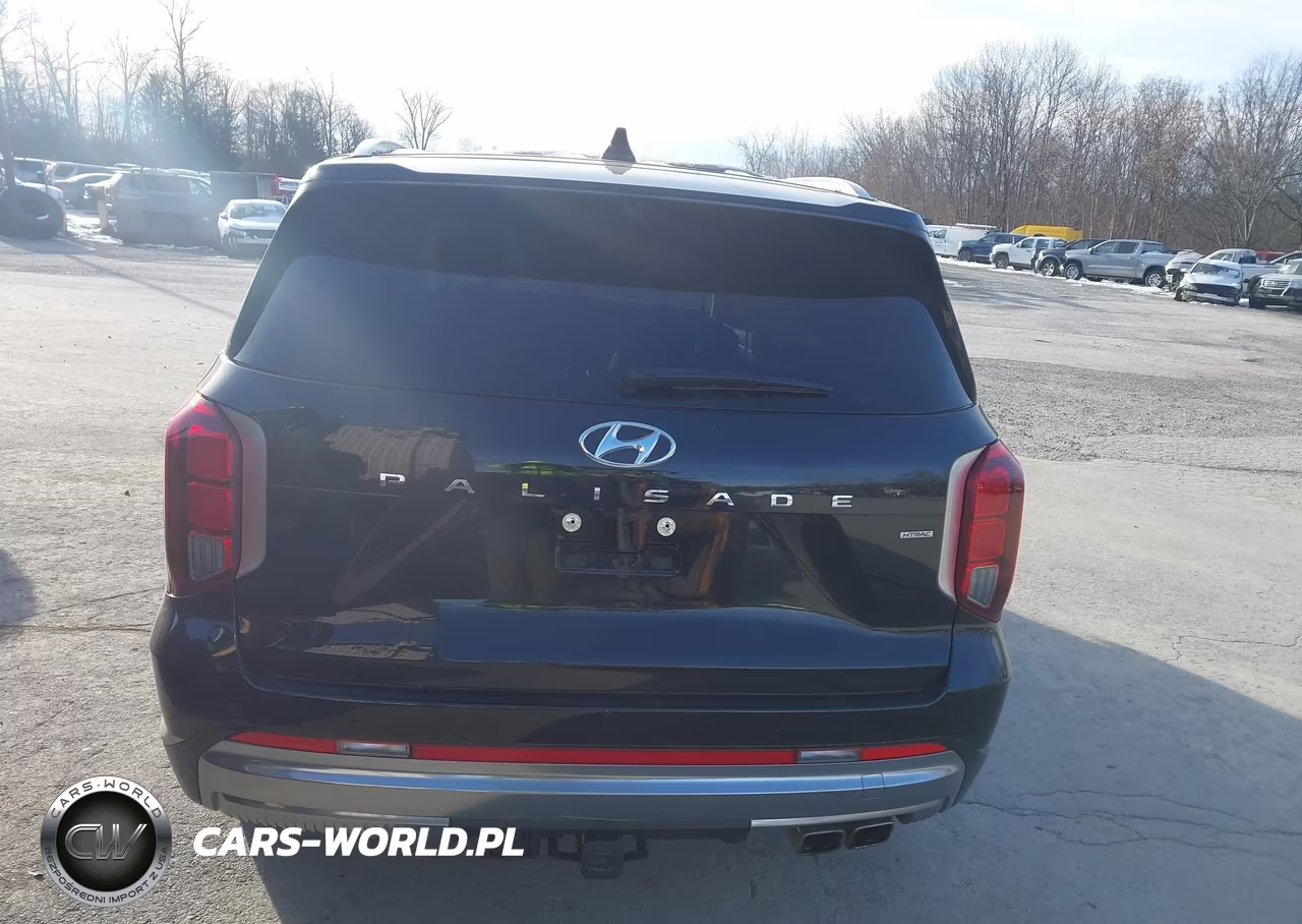 2025 Hyundai Palisade Calligraphy VIN:KM8R7DGE6SU914496 - 17