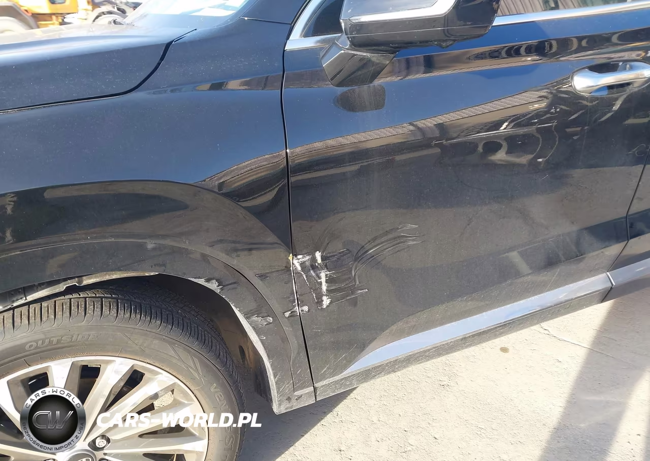 2025 Hyundai Palisade Calligraphy VIN:KM8R7DGE6SU914496 - 18
