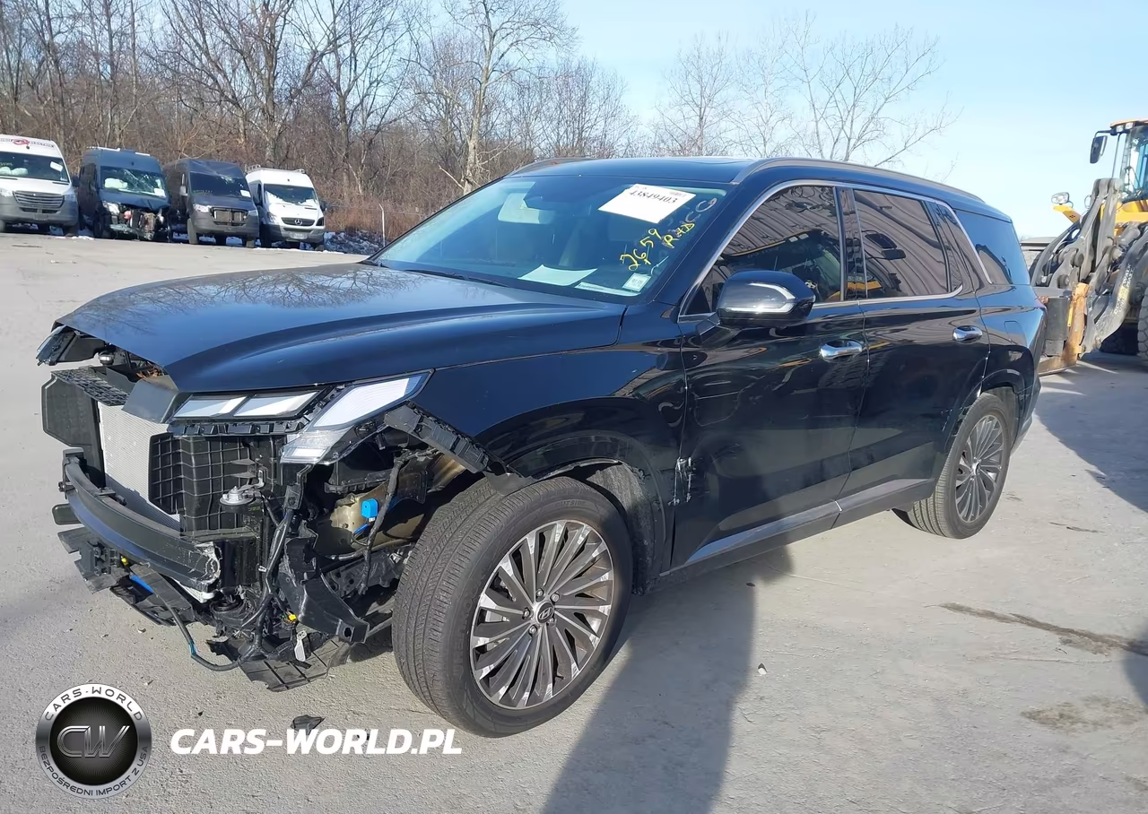 2025 Hyundai Palisade Calligraphy VIN:KM8R7DGE6SU914496 - 2
