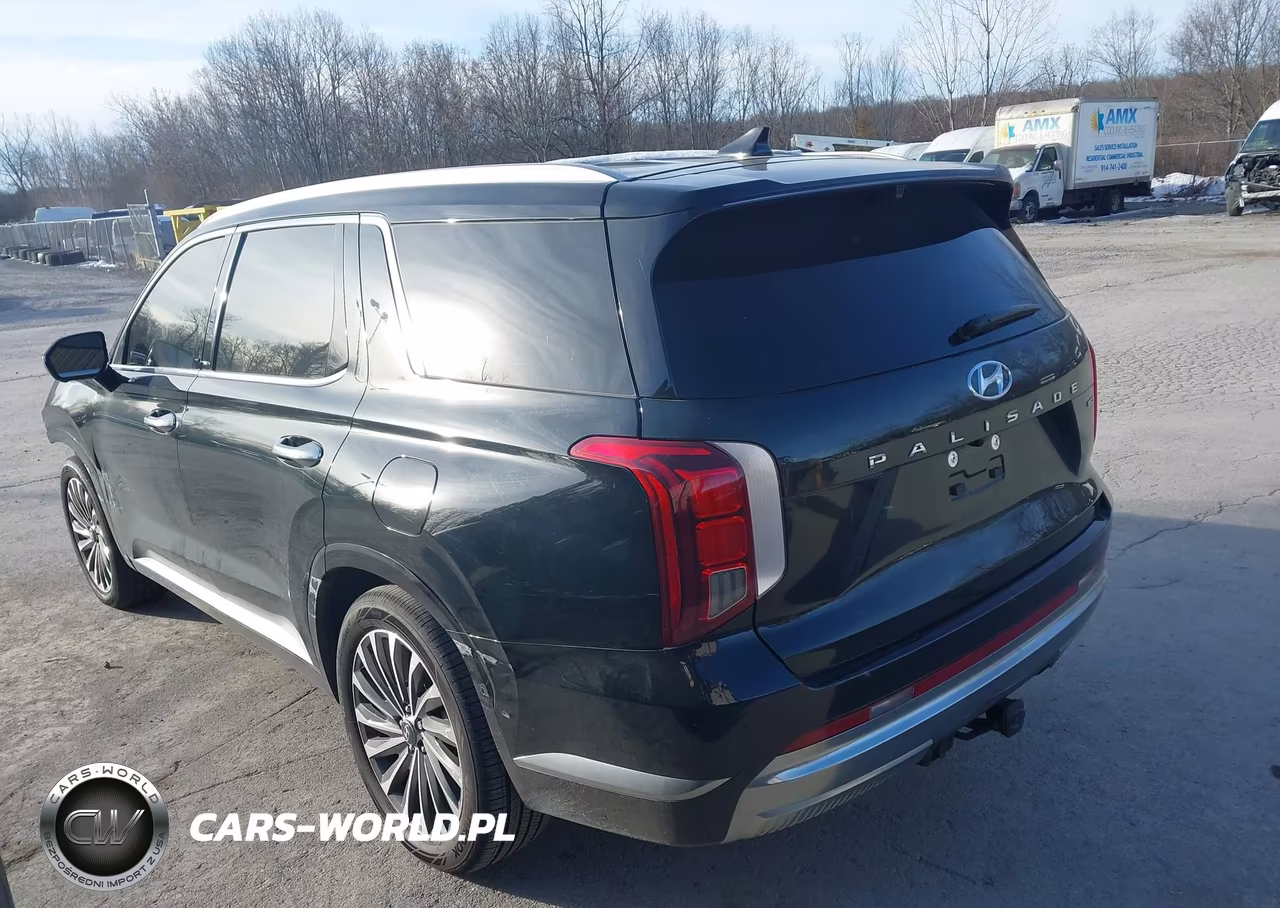 2025 Hyundai Palisade Calligraphy VIN:KM8R7DGE6SU914496 - 3