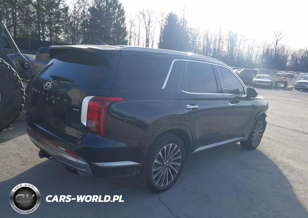 2025 Hyundai Palisade Calligraphy VIN:KM8R7DGE6SU914496 - 4