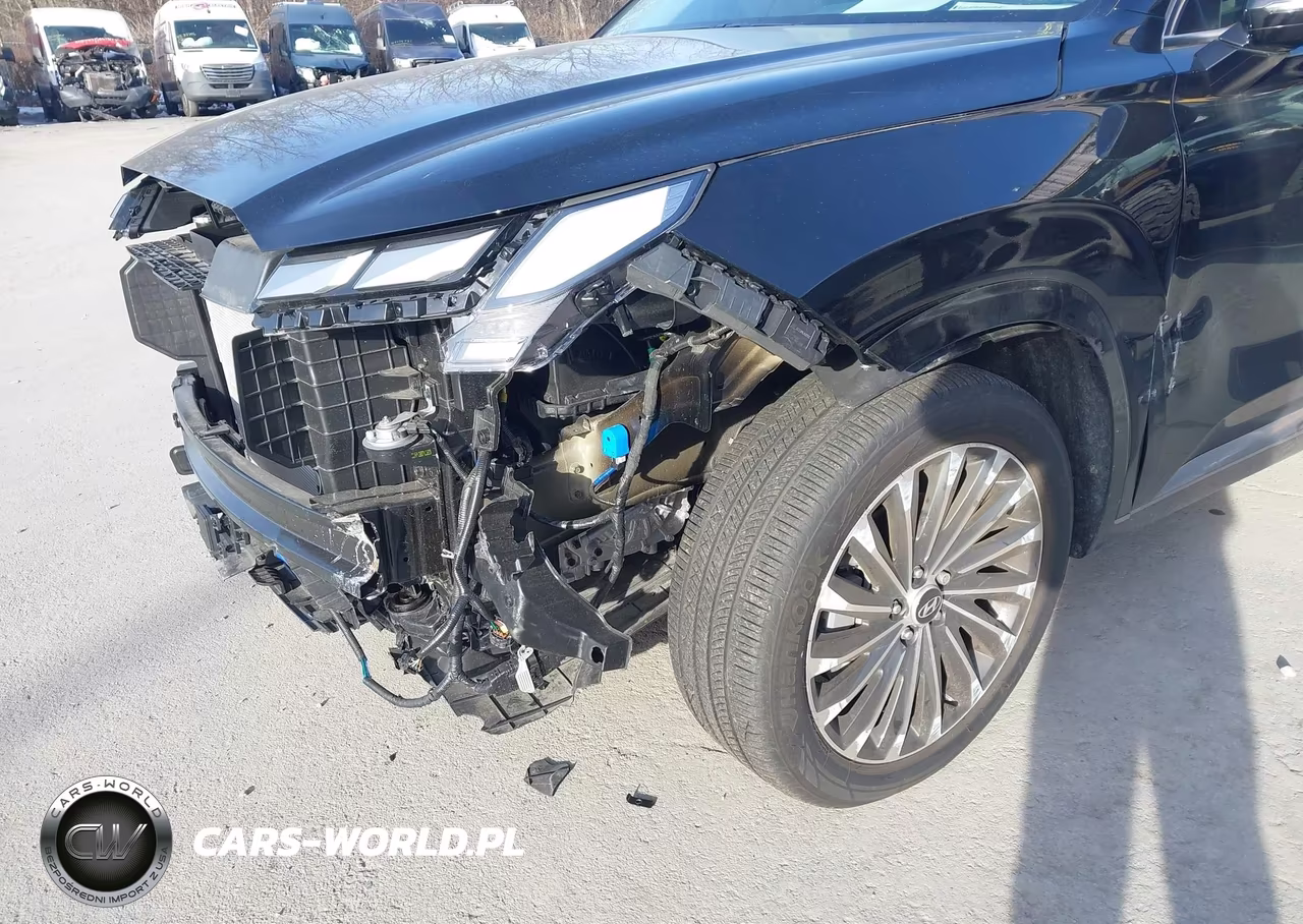 2025 Hyundai Palisade Calligraphy VIN:KM8R7DGE6SU914496 - 6