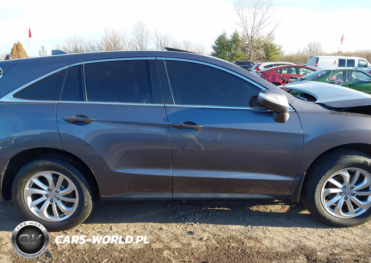 2017 Acura Rdx Acurawatch Plus Package VIN:5J8TB3H33HL009813 - 14