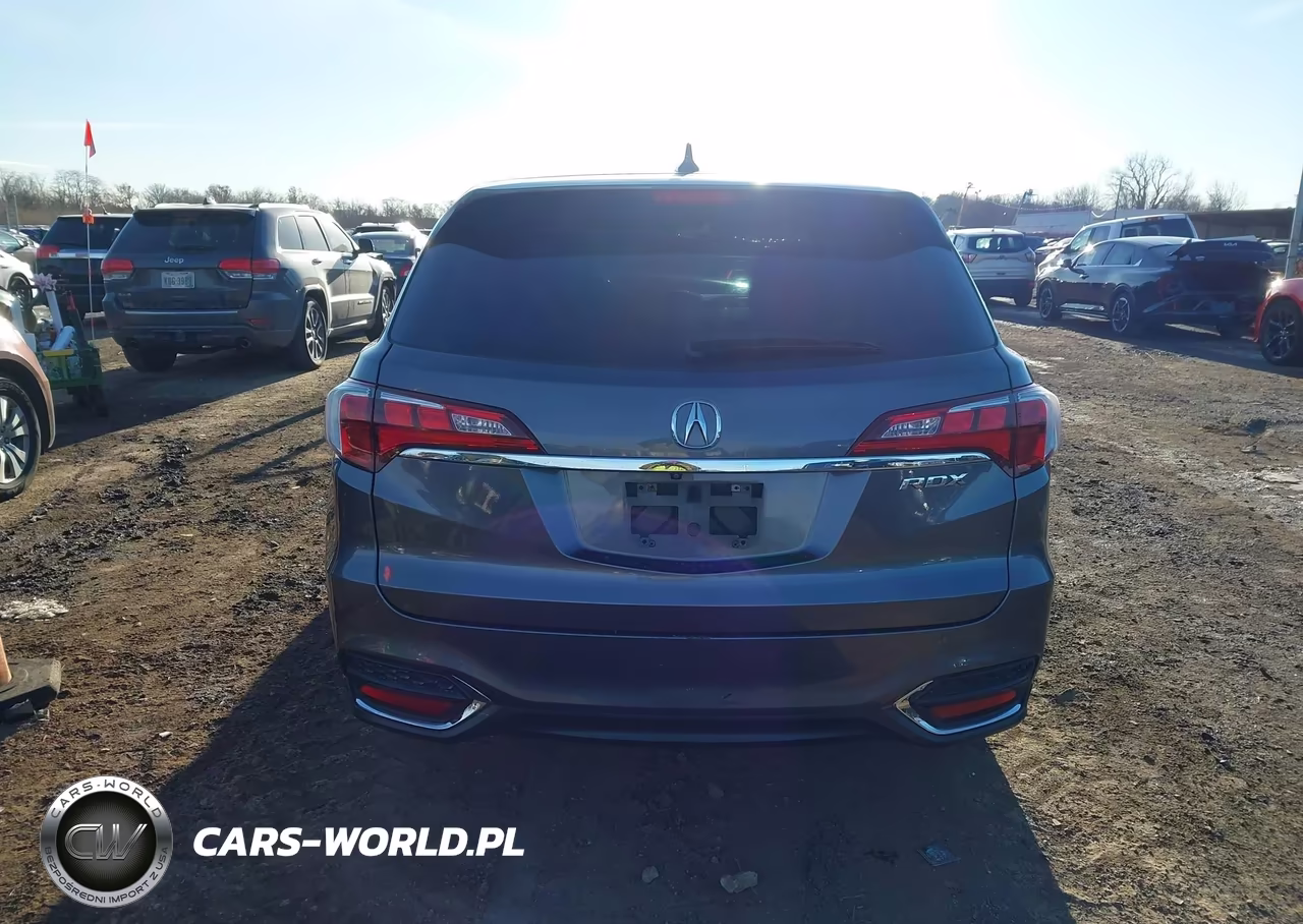 2017 Acura Rdx Acurawatch Plus Package VIN:5J8TB3H33HL009813 - 17