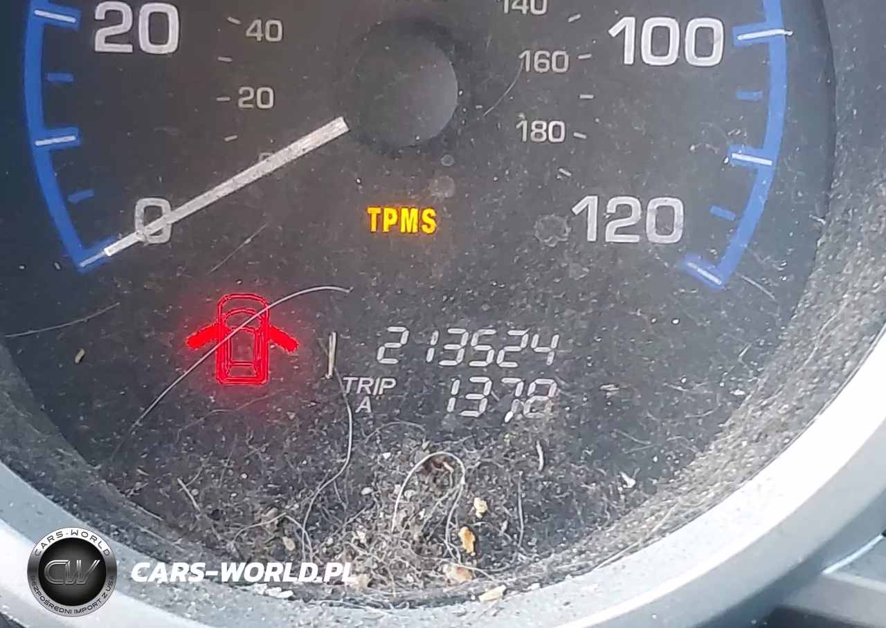 2007 Honda Element Ex VIN:5J6YH27717L002384 - 15