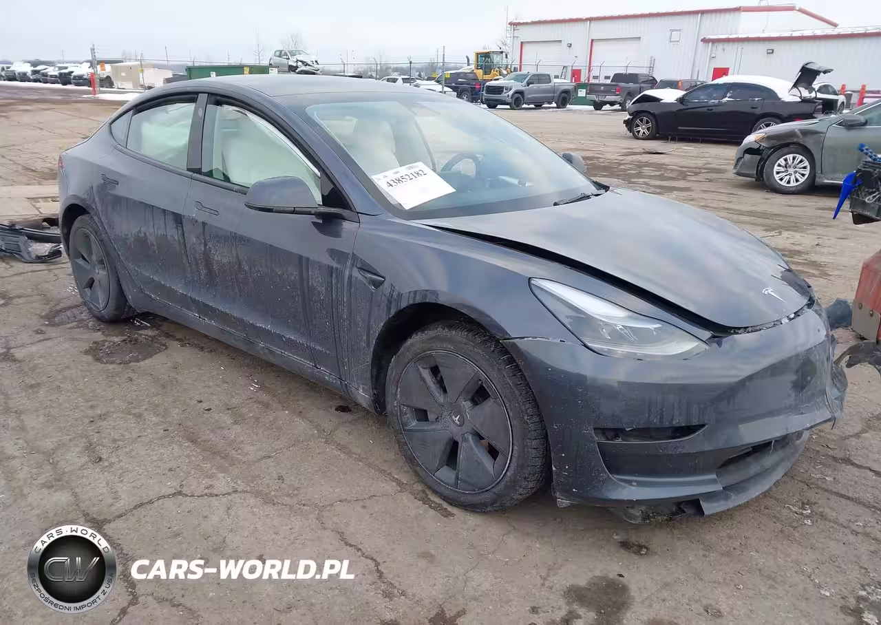 2023 Tesla Model 3 Rear-Wheel Drive