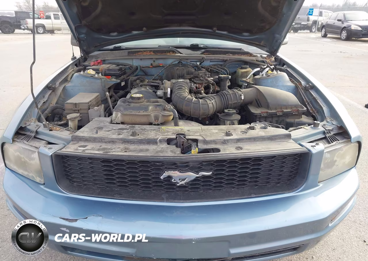 2005 Ford Mustang V6 Deluxe-V6 Premium VIN:1ZVFT80N155103849 - 10