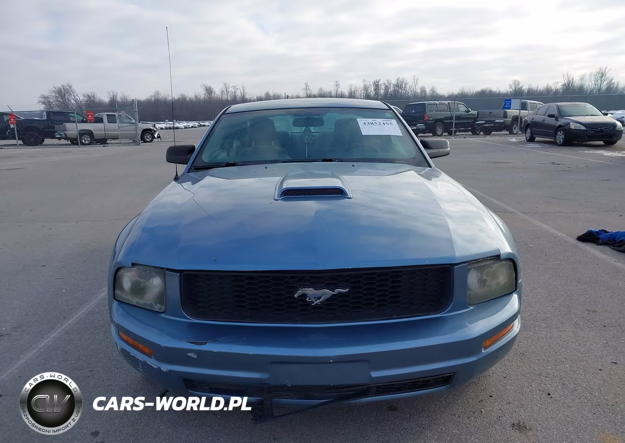 2005 Ford Mustang V6 Deluxe-V6 Premium VIN:1ZVFT80N155103849 - 13