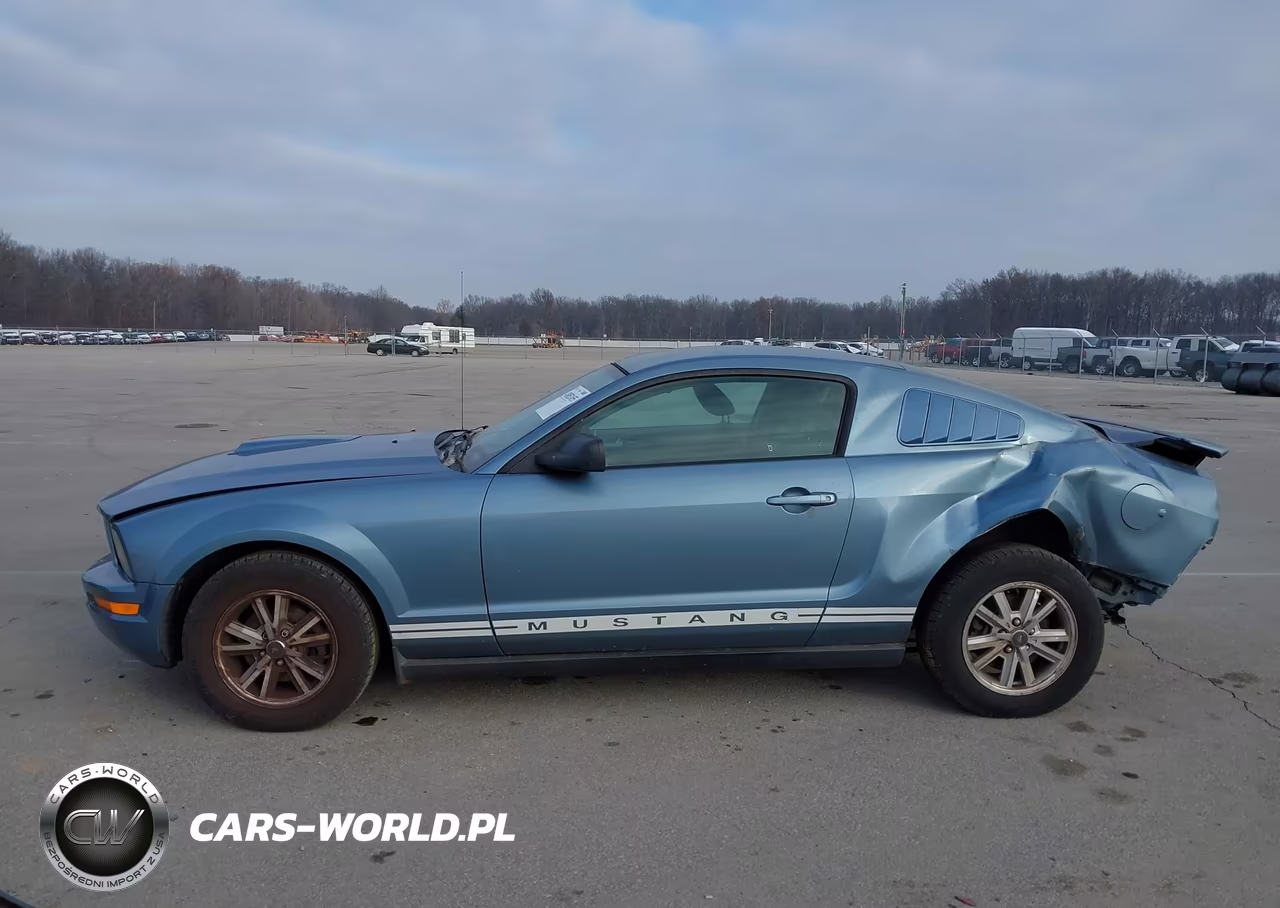 2005 Ford Mustang V6 Deluxe-V6 Premium VIN:1ZVFT80N155103849 - 15