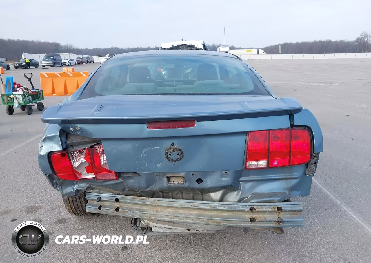 2005 Ford Mustang V6 Deluxe-V6 Premium VIN:1ZVFT80N155103849 - 17