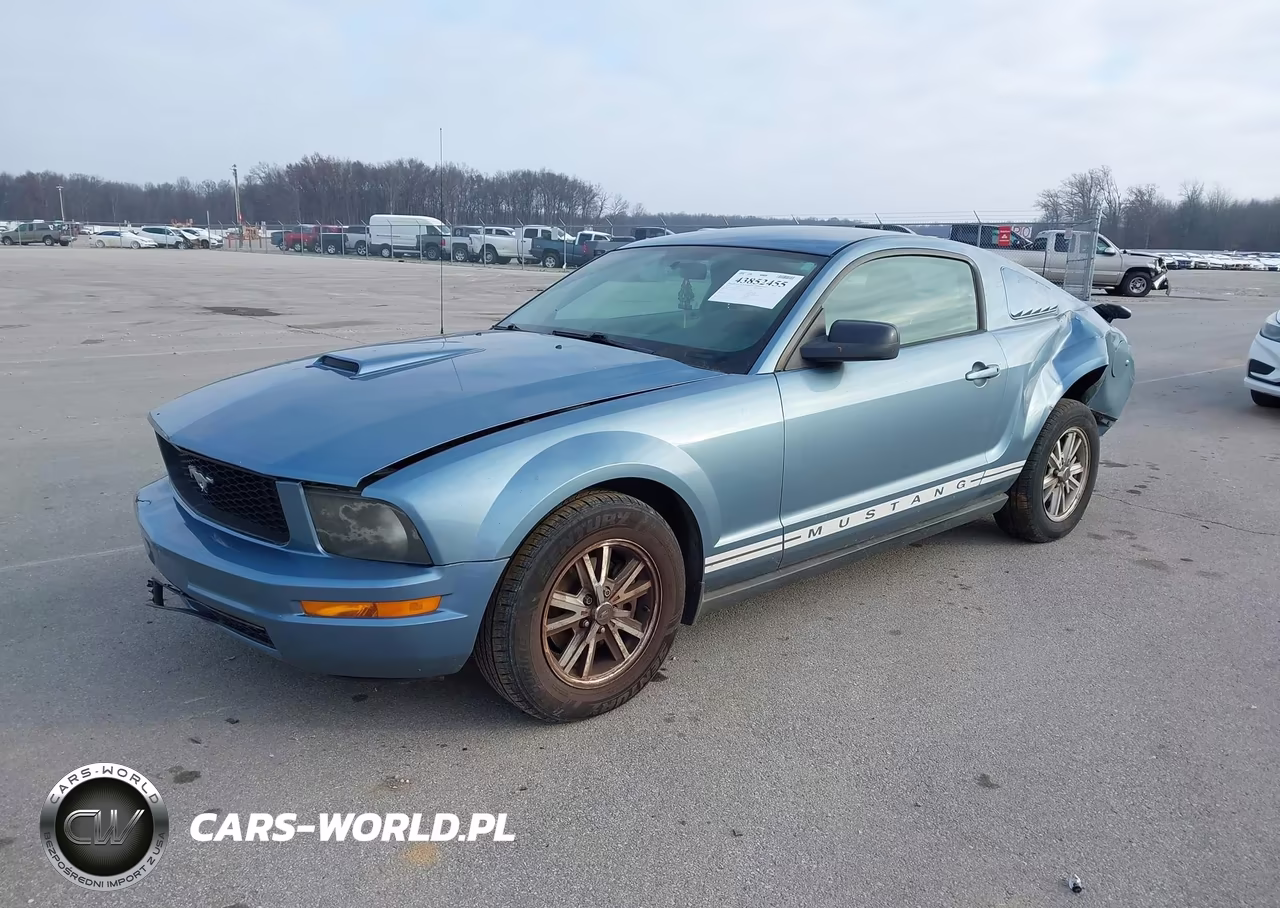 2005 Ford Mustang V6 Deluxe-V6 Premium VIN:1ZVFT80N155103849 - 2