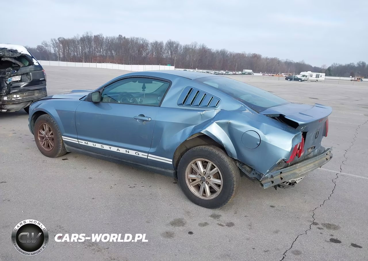 2005 Ford Mustang V6 Deluxe-V6 Premium VIN:1ZVFT80N155103849 - 3