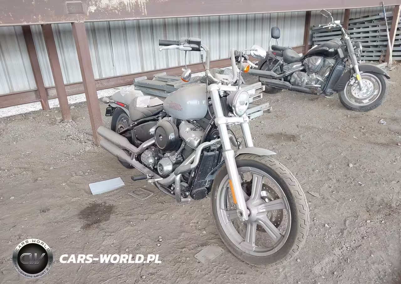 2024 Harley-Davidson Fxst