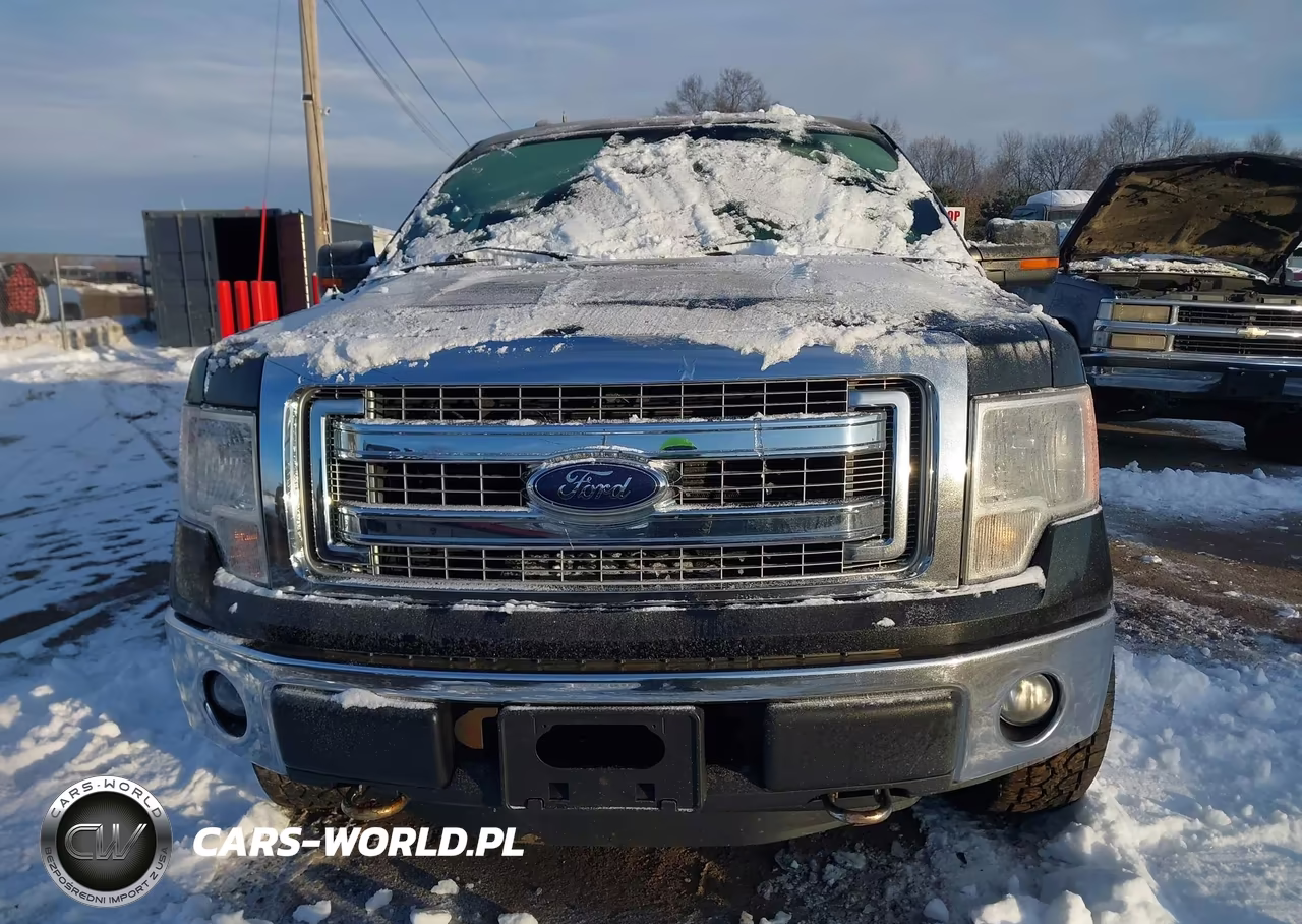2013 Ford F-150 Xlt VIN:1FTFW1ET4DKD58651 - 11
