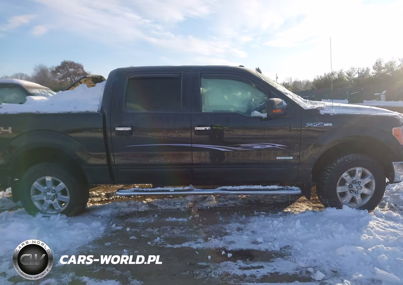 2013 Ford F-150 Xlt VIN:1FTFW1ET4DKD58651 - 12