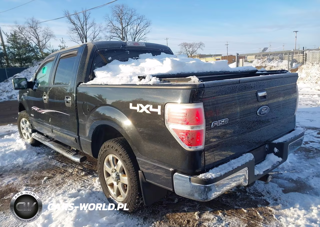 2013 Ford F-150 Xlt VIN:1FTFW1ET4DKD58651 - 3