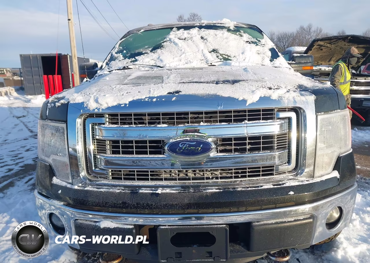 2013 Ford F-150 Xlt VIN:1FTFW1ET4DKD58651 - 6