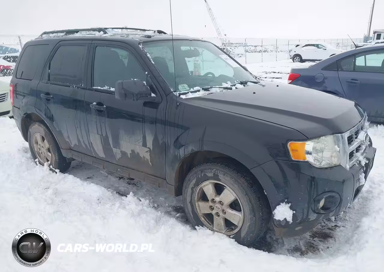 2011 Ford Escape Xlt