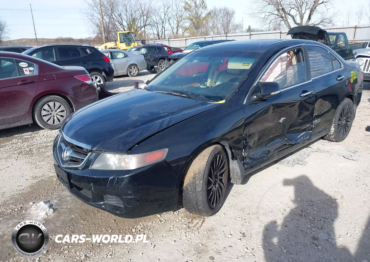 2005 Acura Tsx VIN:JH4CL96895C033900 - 2