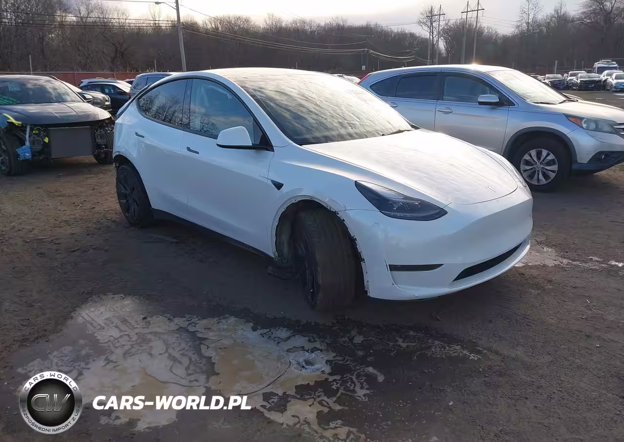 2024 Tesla Model Y Rwd