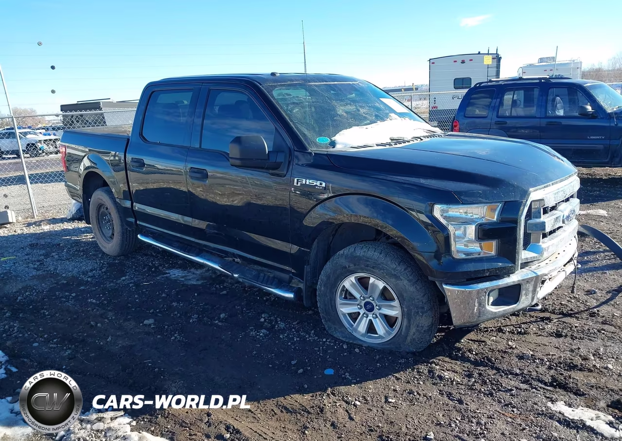 2016 Ford F-150 Xlt – zdjęcie 1 z 16