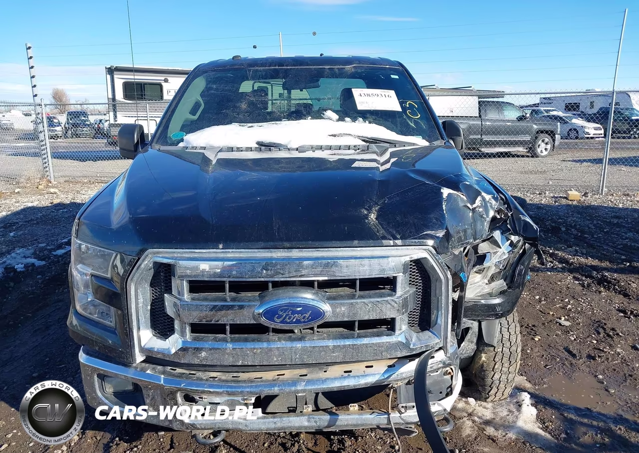 2016 Ford F-150 Xlt VIN:1FTEW1EF7GFB32512 - 12