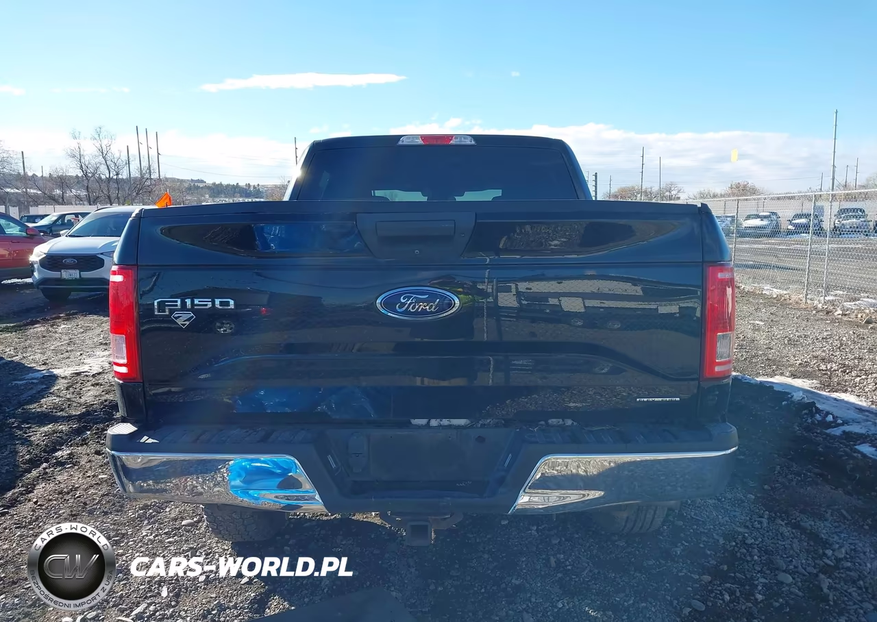 2016 Ford F-150 Xlt VIN:1FTEW1EF7GFB32512 - 16