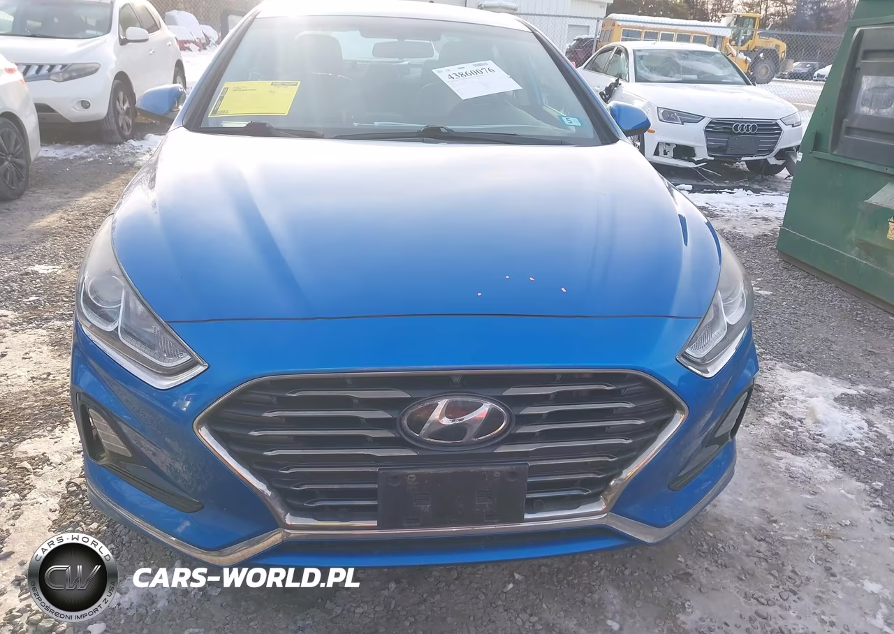 2018 Hyundai Sonata Se VIN:5NPE24AF3JH612353 - 12