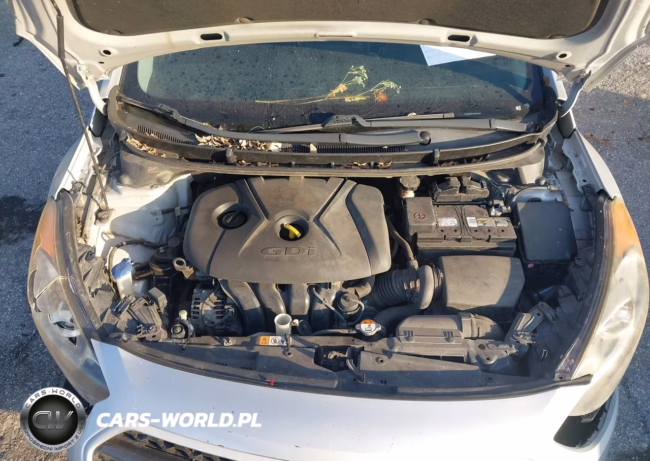 2017 Hyundai Elantra Gt VIN:KMHD35LH9HU372542 - 10