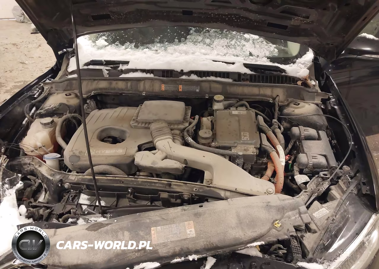 2019 Ford Fusion Hybrid Titanium VIN:3FA6P0RU1KR223717 - 10