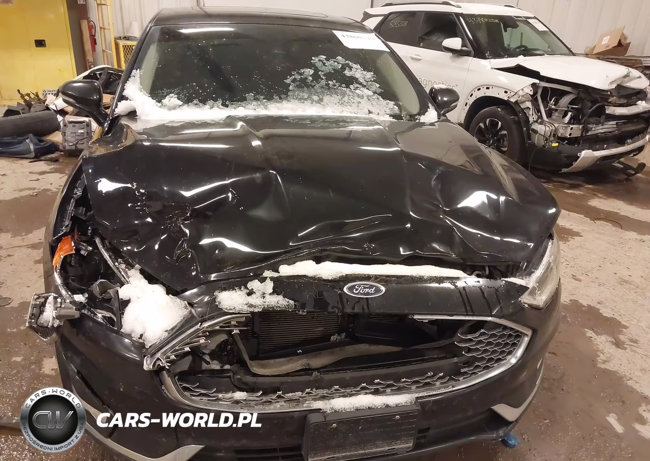 2019 Ford Fusion Hybrid Titanium VIN:3FA6P0RU1KR223717 - 6