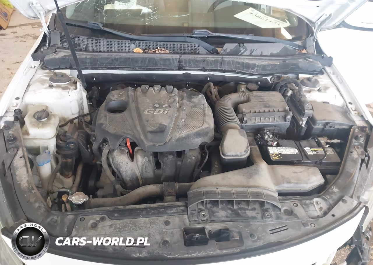 KIA OPTIMA VIN:5XXGM4A7XDG160154 - 10