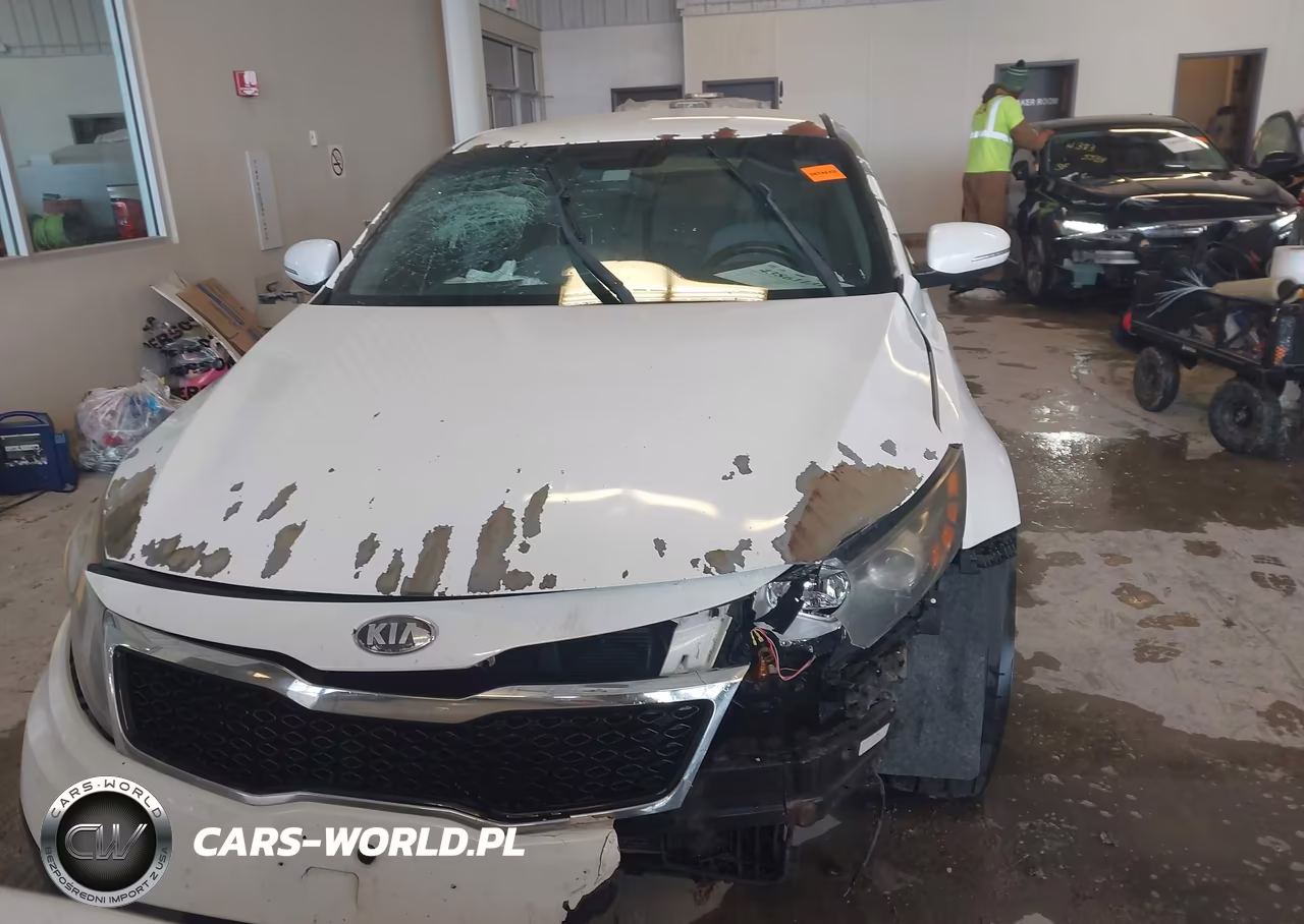 KIA OPTIMA VIN:5XXGM4A7XDG160154 - 11