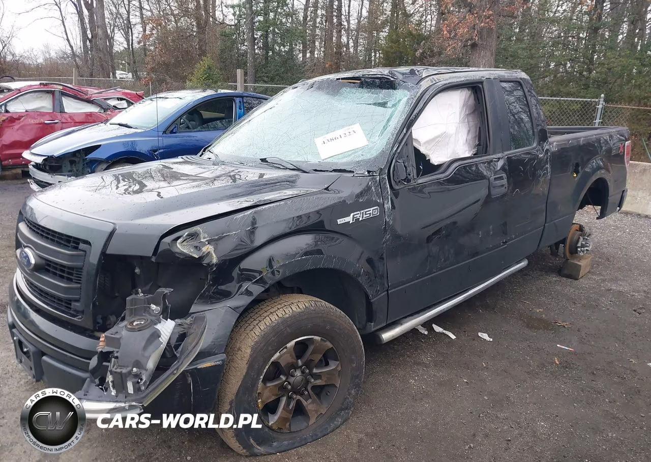 2014 Ford F-150 Stx VIN:1FTEX1EM4EFC86894 - 6