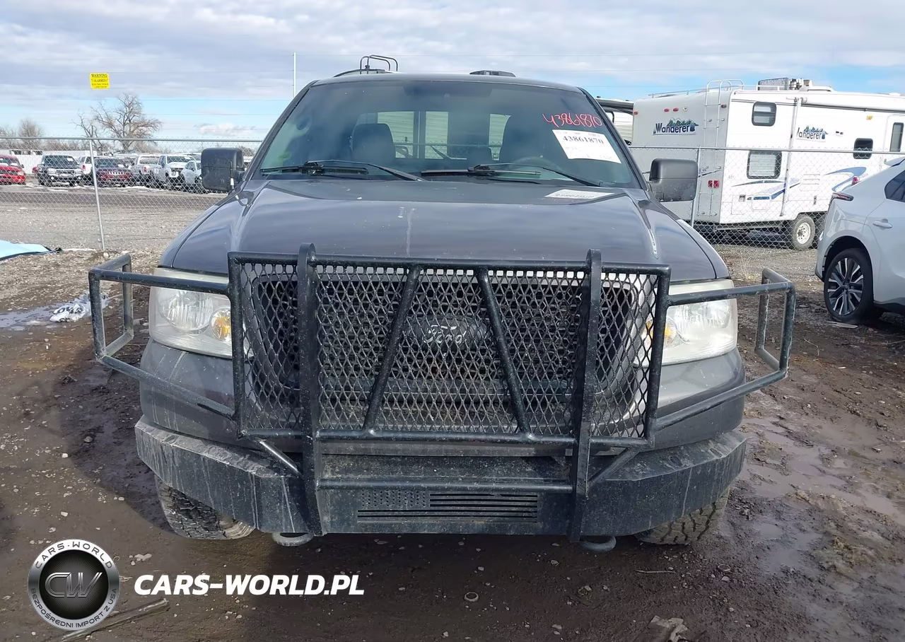 2006 Ford F-150 Fx4-Lariat-Xl-Xlt VIN:1FTPX14506KC01285 - 12