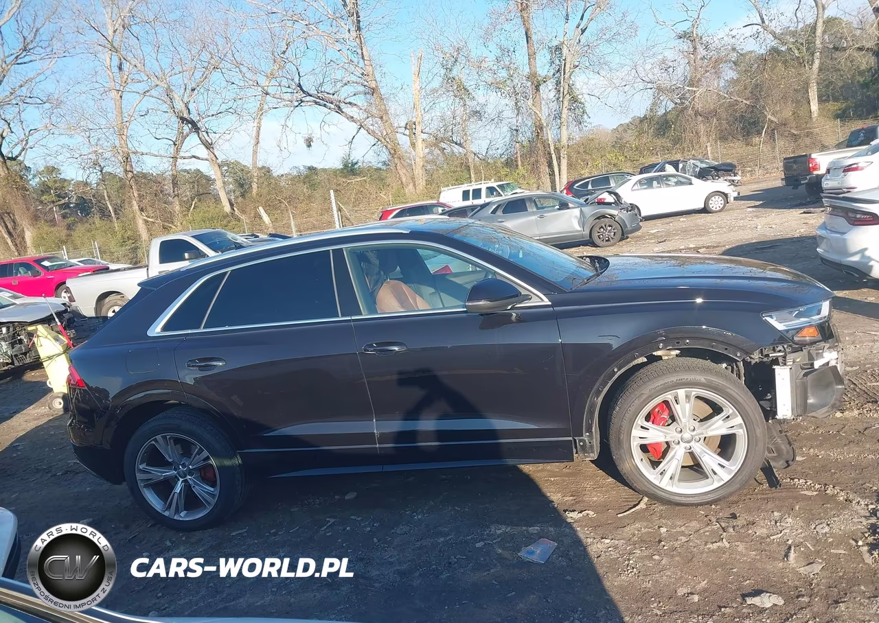 2019 Audi Q8 55 Premium VIN:WA1AVAF18KD017310 - 13