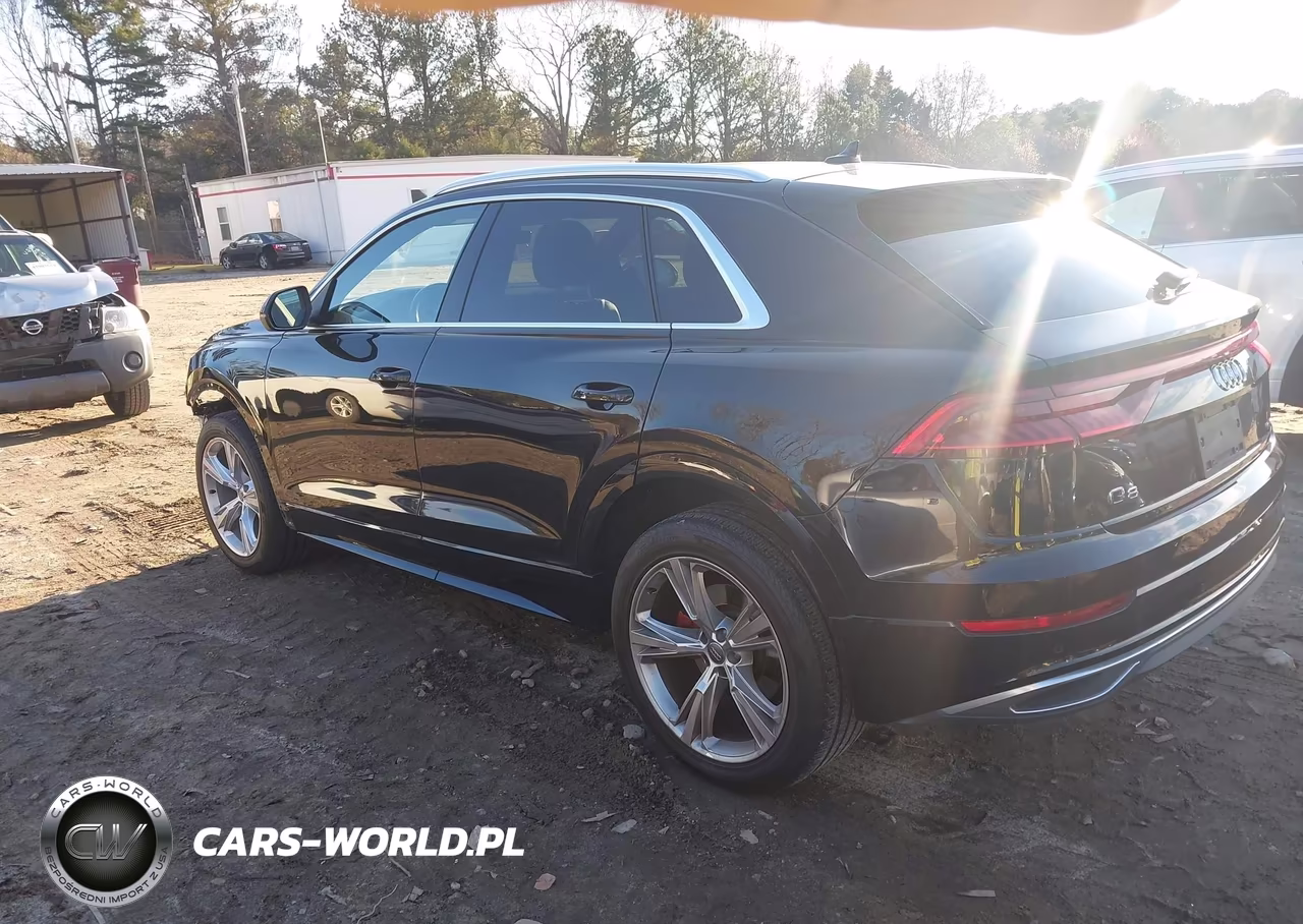 2019 Audi Q8 55 Premium VIN:WA1AVAF18KD017310 - 3
