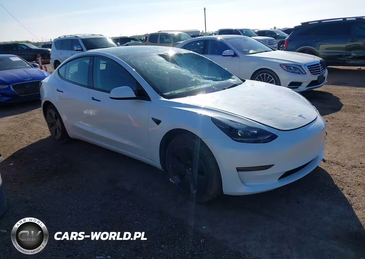 2023 Tesla Model 3 Rear-Wheel Drive