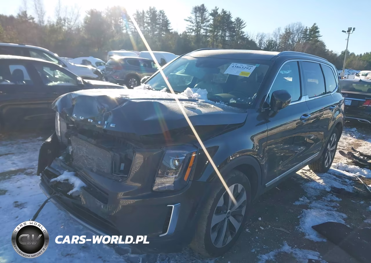 2021 Kia Telluride S VIN:5XYP6DHC0MG151567 - 2