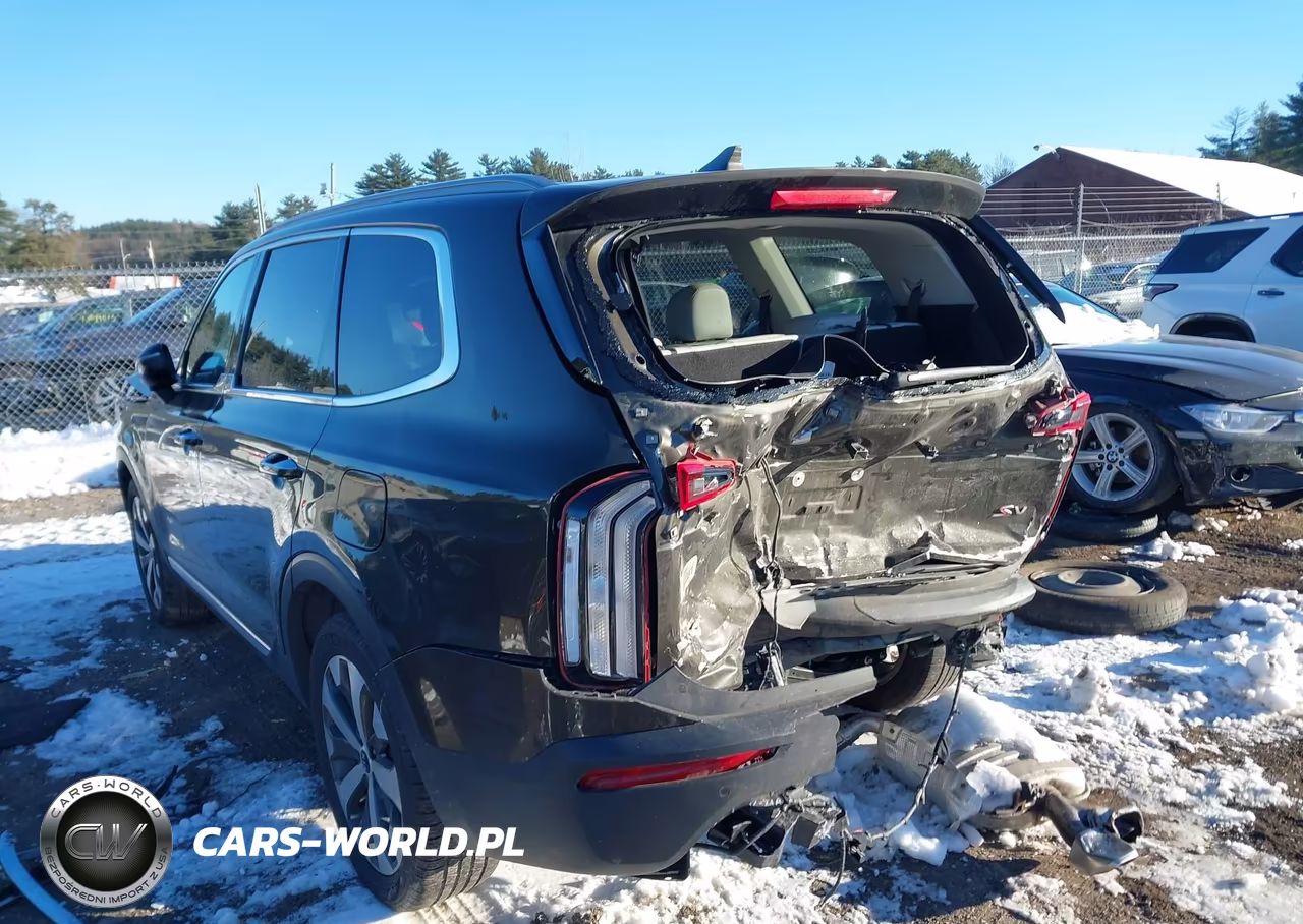 2021 Kia Telluride S VIN:5XYP6DHC0MG151567 - 3
