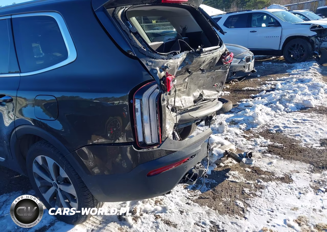 2021 Kia Telluride S VIN:5XYP6DHC0MG151567 - 6