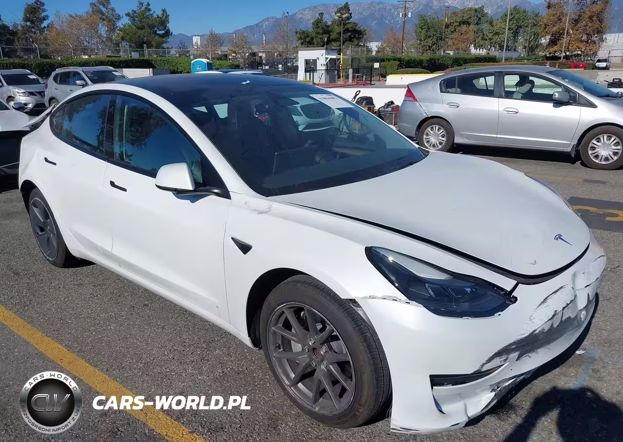 2023 Tesla Model 3 Rear-Wheel Drive