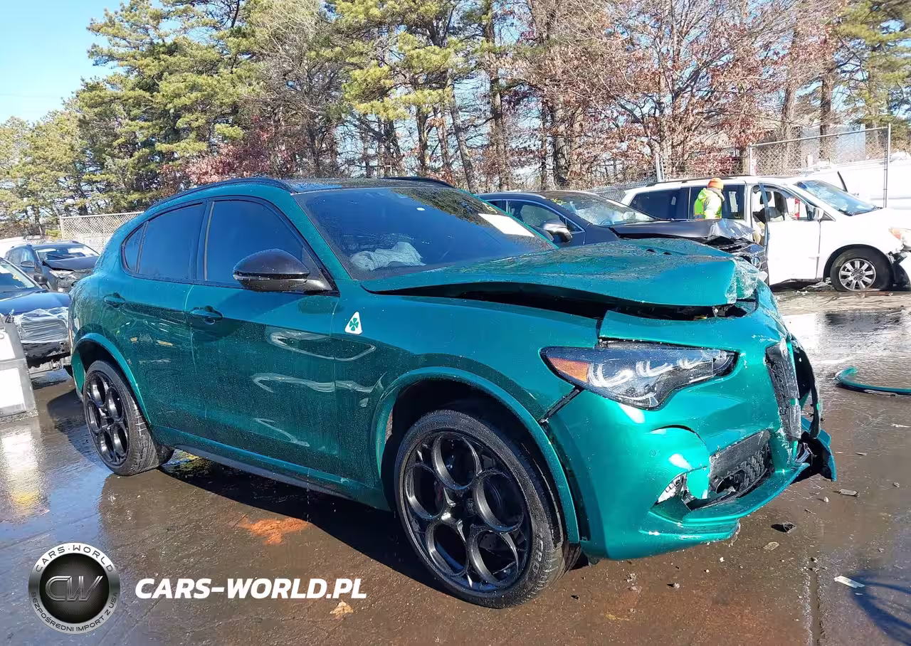 2024 Alfa Romeo Stelvio Quadrifoglio Carbon Awd