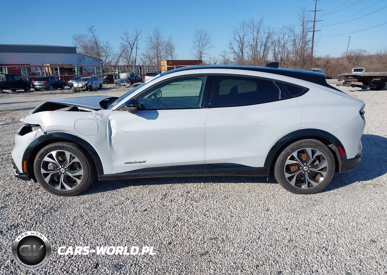 2022 Ford Mustang Mach-E Premium VIN:3FMTK3SU4NMA40798 - 14