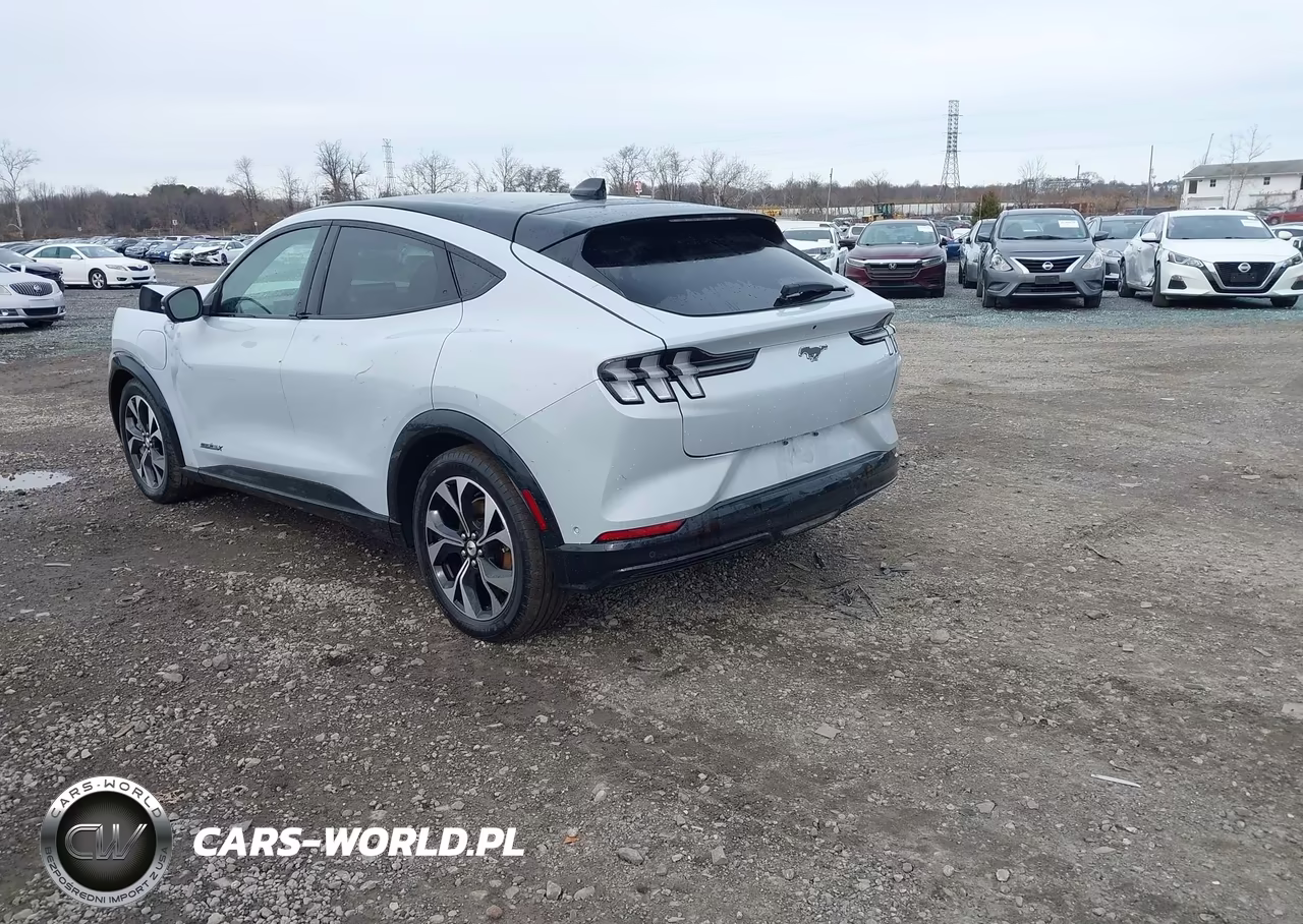 2022 Ford Mustang Mach-E Premium VIN:3FMTK3SU4NMA40798 - 3