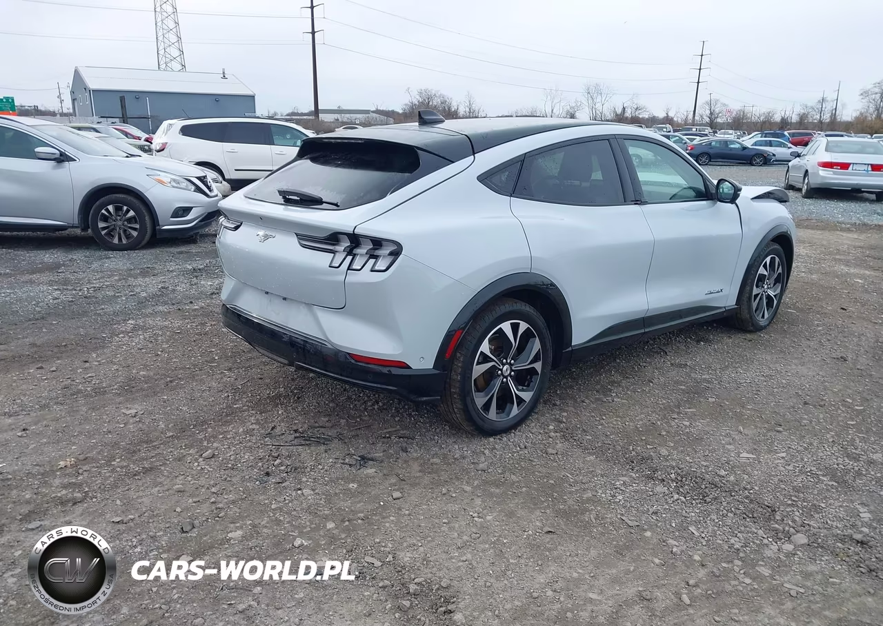 2022 Ford Mustang Mach-E Premium VIN:3FMTK3SU4NMA40798 - 4