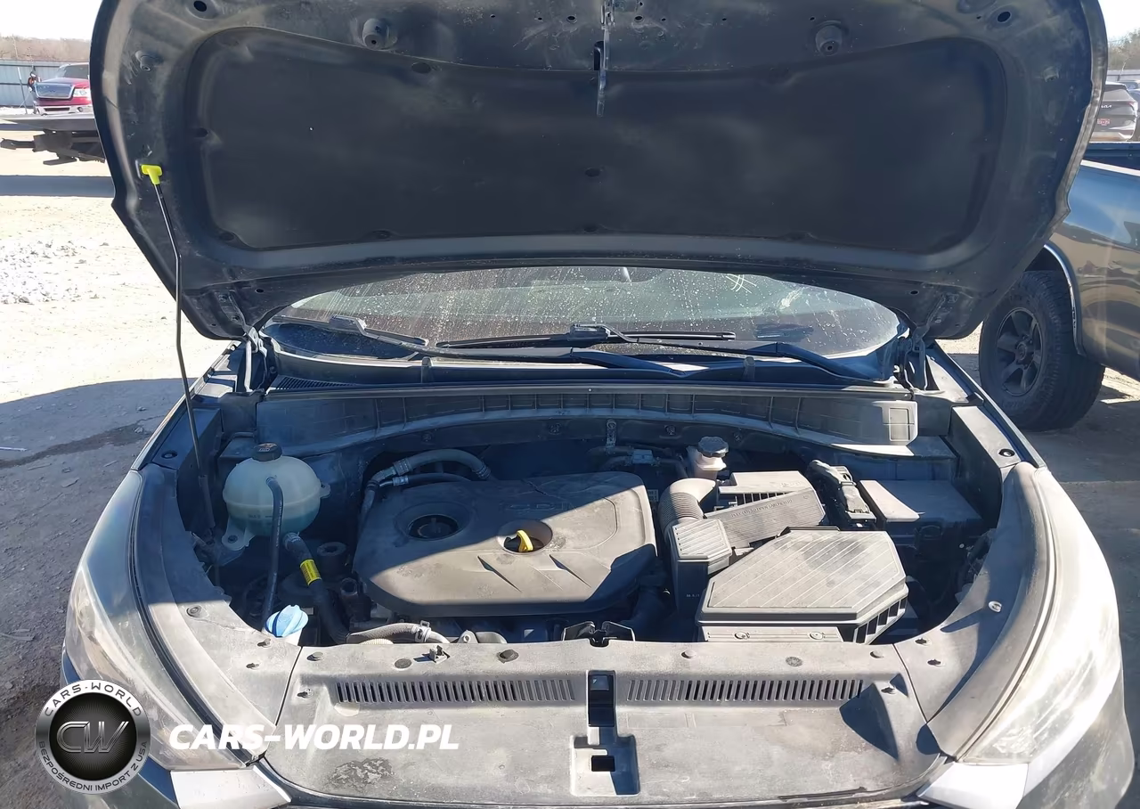 2019 Hyundai Tucson Se VIN:KM8J23A46KU884342 - 10