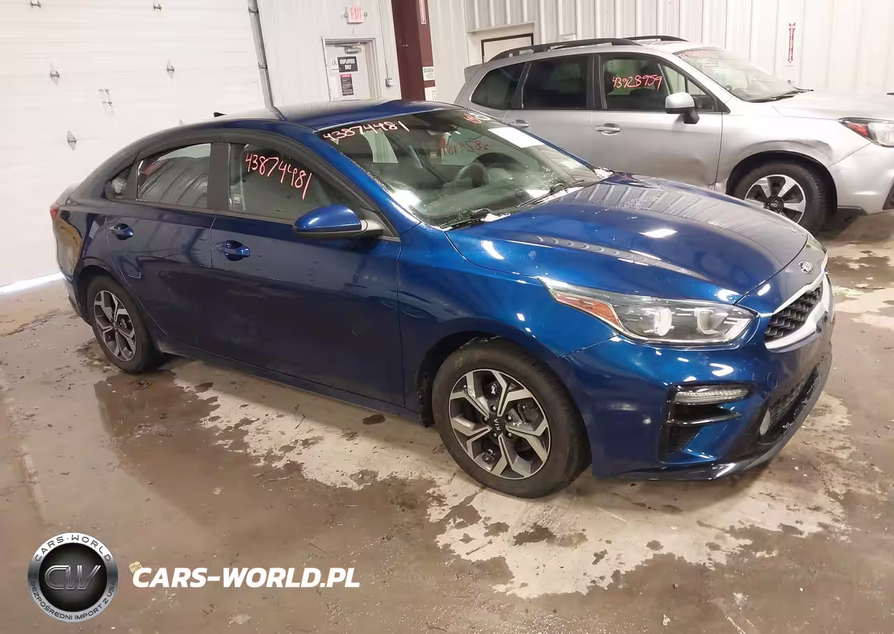 2019 Kia Forte Lxs